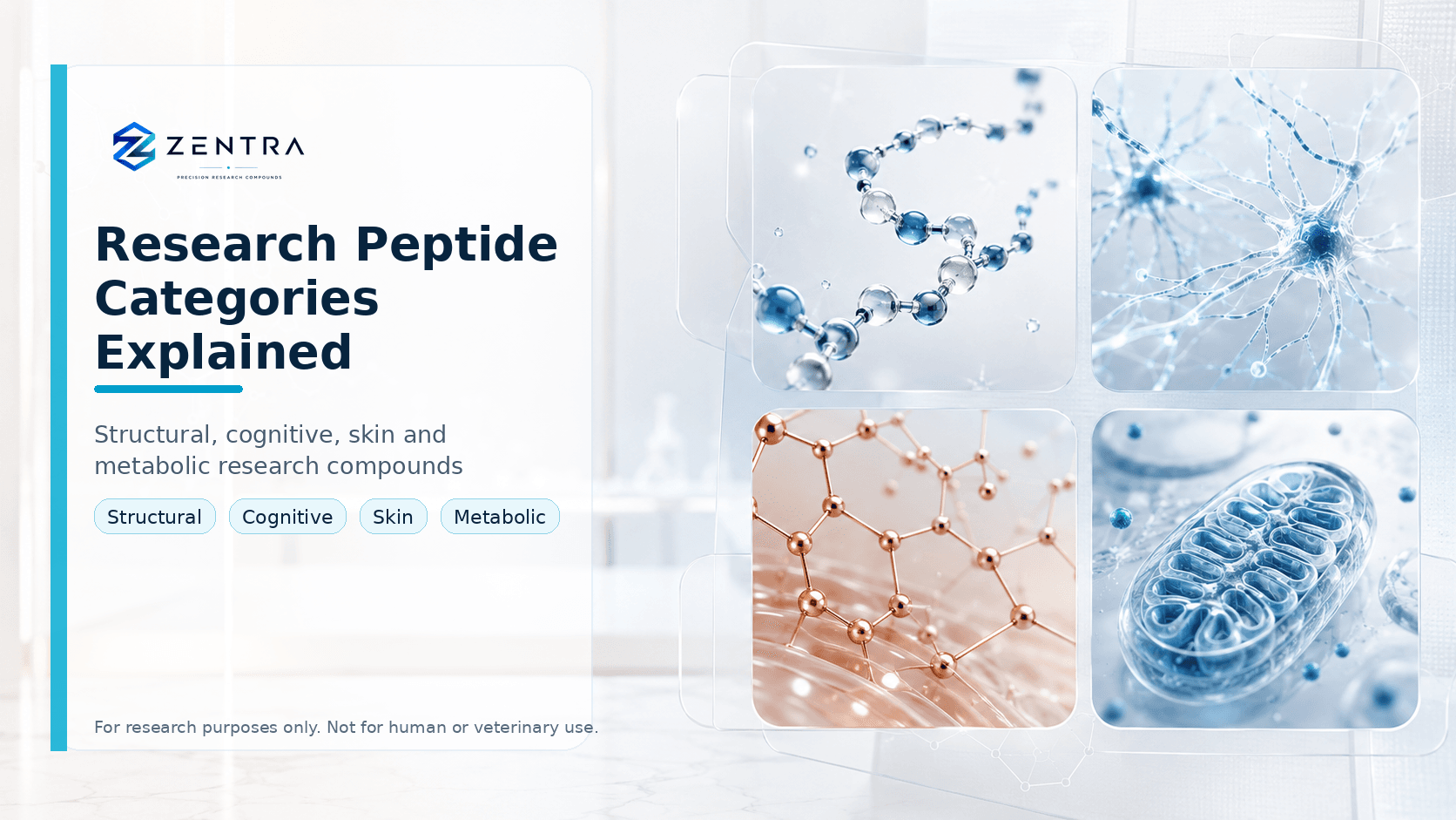 Research Peptide Categories Explained Structural Cognitive Skin Metabolic